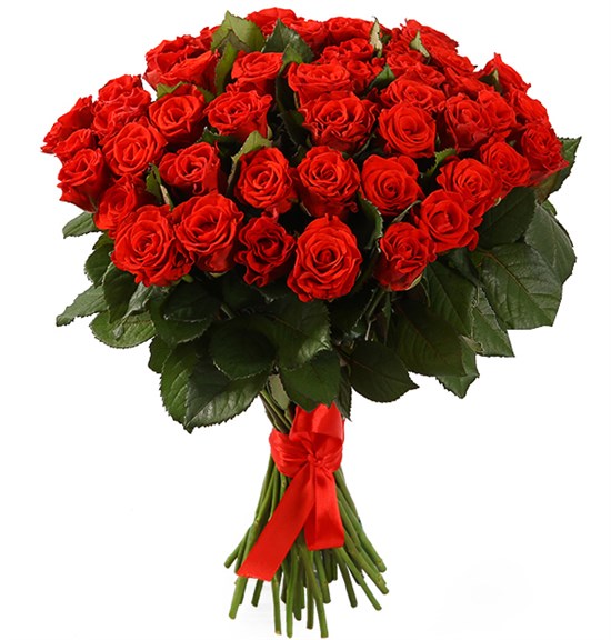 Букет 51 красная роза, 50/60 см - фото 8227