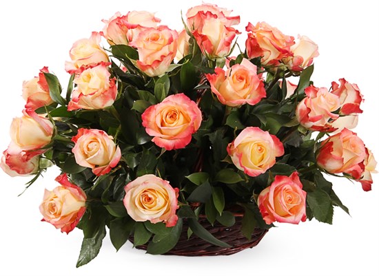 35 роз Кабаре в корзине - фото 8541