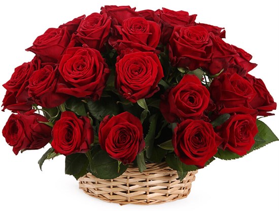 35 красных роз в корзине - фото 8554