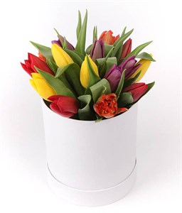 15 тюльпанов микс в белой шляпной коробке