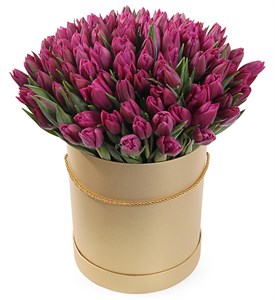 101 королевский тюльпан в коричневой коробке, пурпурные