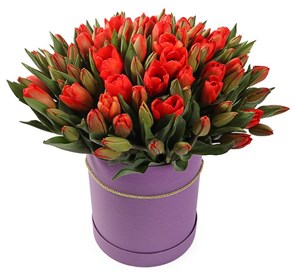 101 королевский тюльпан в фиолетовой коробке, красно-оранжевые
