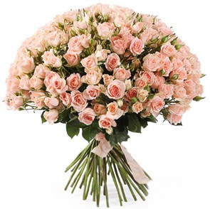 Букет 50 кустовых роз Свит Сара