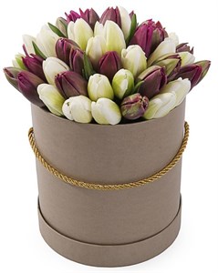 51 королевский тюльпан в коричневой коробке, бело-пурпурный микс