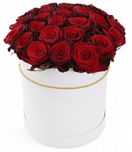из 25 красных роз Ред Париж в шляпной коробке