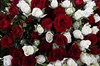 Букет 101 кустовая роза, красно-белый микс - фото 5810
