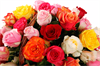 Фламандская легенда (51 роза) в корзине - фото 5975