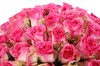 51 роза Малибу в шляпной коробке - фото 6173