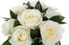7 роз Аваланш в шляпной коробке - фото 6191