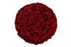 из 101 красной розы Ред Париж в шляпной коробке - фото 6219