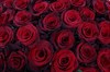 из 101 красной розы Ред Париж в шляпной коробке - фото 6220