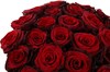 из 25 красных роз Ред Париж в шляпной коробке - фото 6233