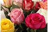 Букет Фламандская легенда 35 роз - фото 6355
