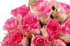 25 роз Малибу в шляпной коробке - фото 6424