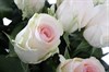 Букет 25 роз Сеньорита - фото 6434