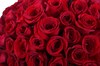 Букет 101 роза Фридом - фото 6455