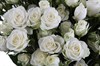 Букет 51 кустовая роза Сноуфлейк - фото 6545