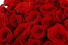 Букет 25 красных роз 60/70 см - фото 6599