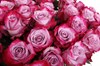 Букет 71 роза Дип Перпл - фото 6611