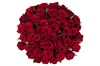 Букет из 51 красной розы 60/70 см - фото 6616