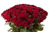 Букет из 51 красной розы Ред Париж - фото 6618
