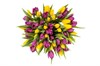 Букет 51 тюльпан, желто-фиолетовые - фото 6818