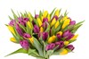 Букет 51 тюльпан, желто-фиолетовые - фото 6819