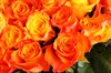 Букет 101 роза, оранжевый микс - фото 6902
