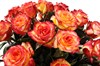 51 роза Хай Мэджик в корзине - фото 6961