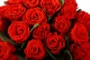 Букет 21 красная роза, 50/60 см - фото 6975