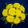 9 желтых хризантем - фото 7176