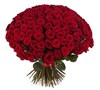 Букет из 101 красной розы 60/70 см - фото 8875